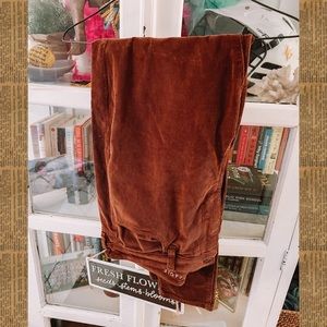 american eagle brown corduroy skinny pants